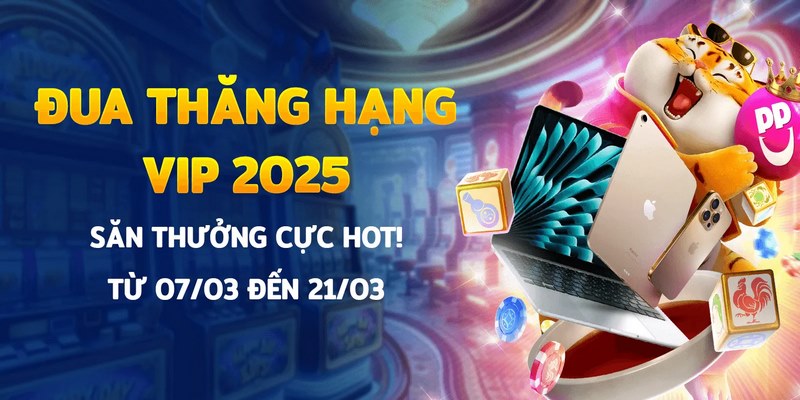 Tổng hợp chương trình thưởng VIP đang diễn ra hiện nay